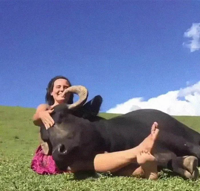 Vaca rescatada