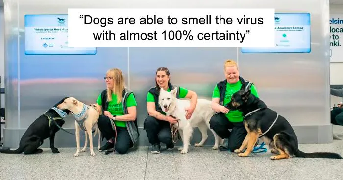 Turns Out, Helsinki Airport Uses Dogs To Sniff Out Coronavirus And It's Faster Than Lab Testing