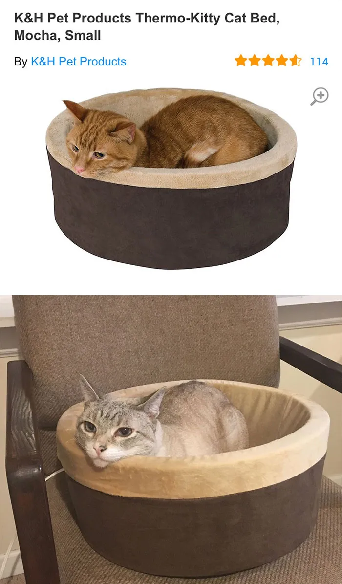Cat Bed