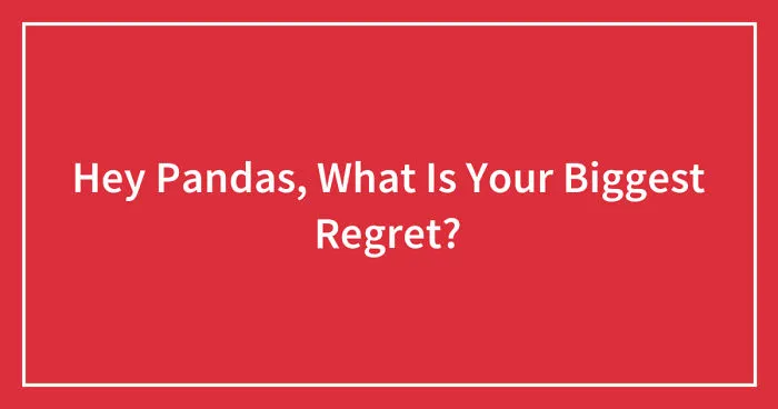Hey Pandas, What Is Your Biggest Regret? (Ended)