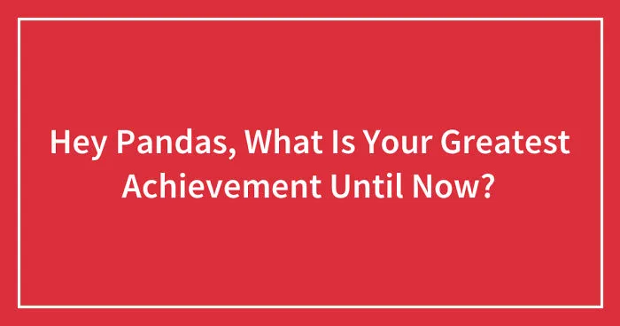 Hey Pandas, What Is Your Greatest Achievement Until Now? (Ended)