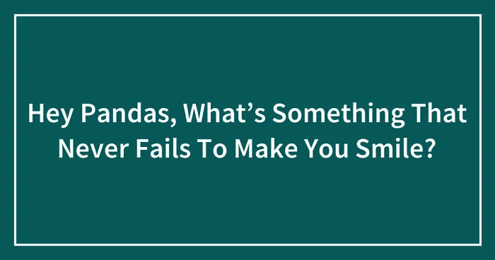 Hey Pandas, What’s Something That Never Fails To Make You Smile? (Ended)