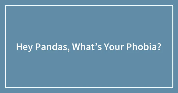 Hey Pandas, What’s Your Phobia? (Closed)
