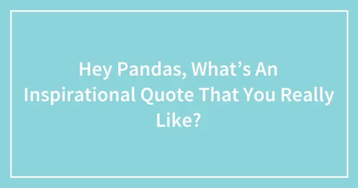 Hey Pandas, What’s An Inspirational Quote That You Really Like? (Ended)