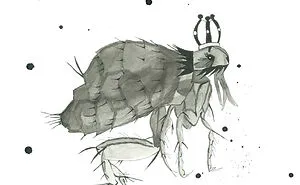 Aedyn Jak Art From His Books