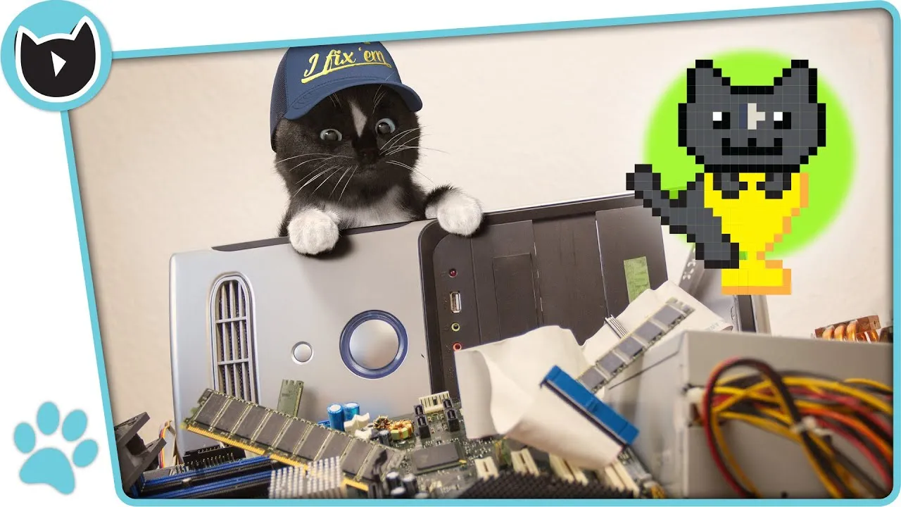 This Cat Loves Playing A Kitty Platformer When His PC Goes Up In Smoke 🙀