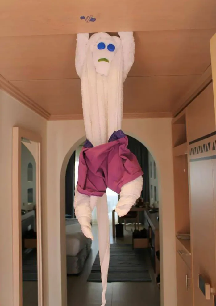 The Cleaner At The Hotel In Egypt, Made This Towel-Monkey, And Dressed It In My Used Boxers