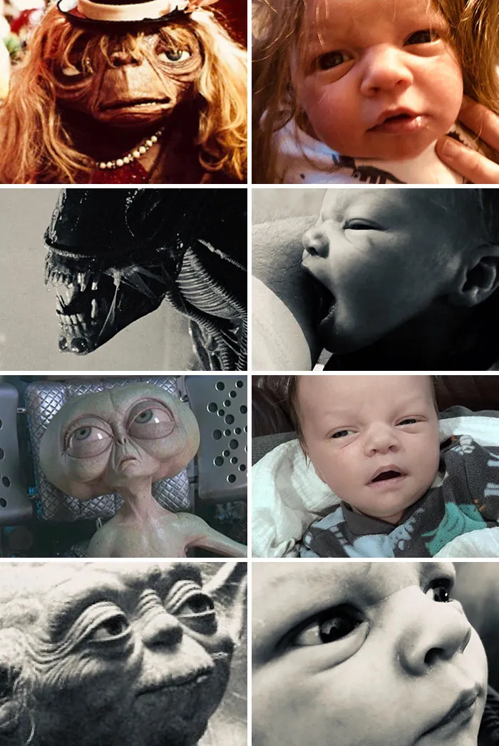 Wife Vetoed My Birth Announcement Design
