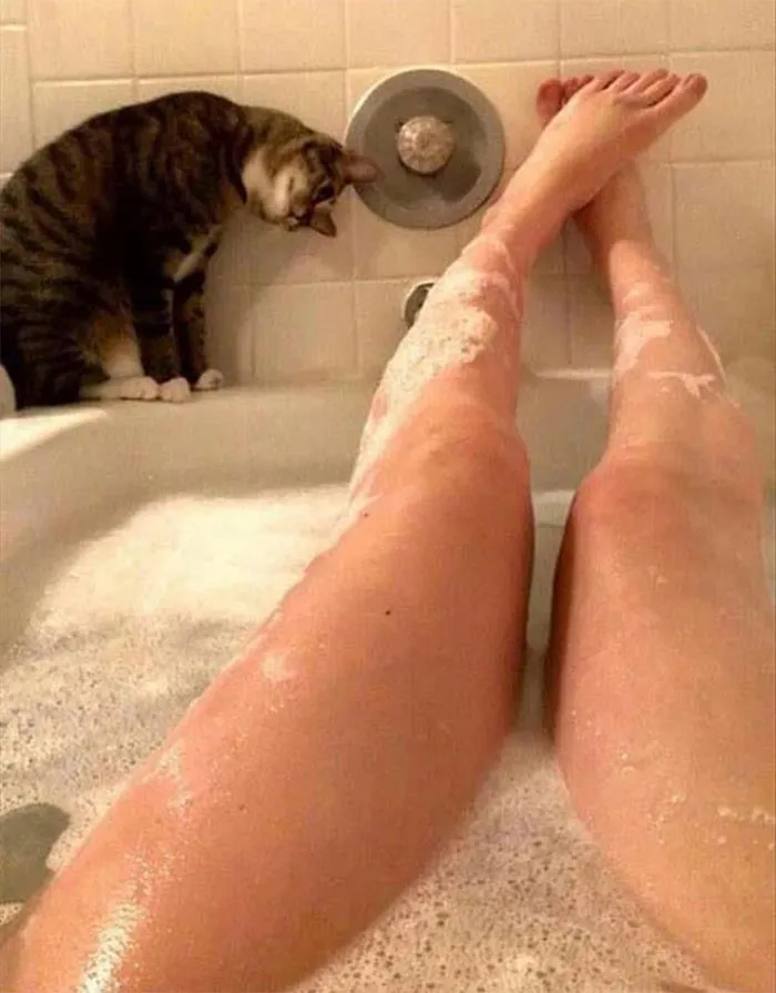 No Privacy At All