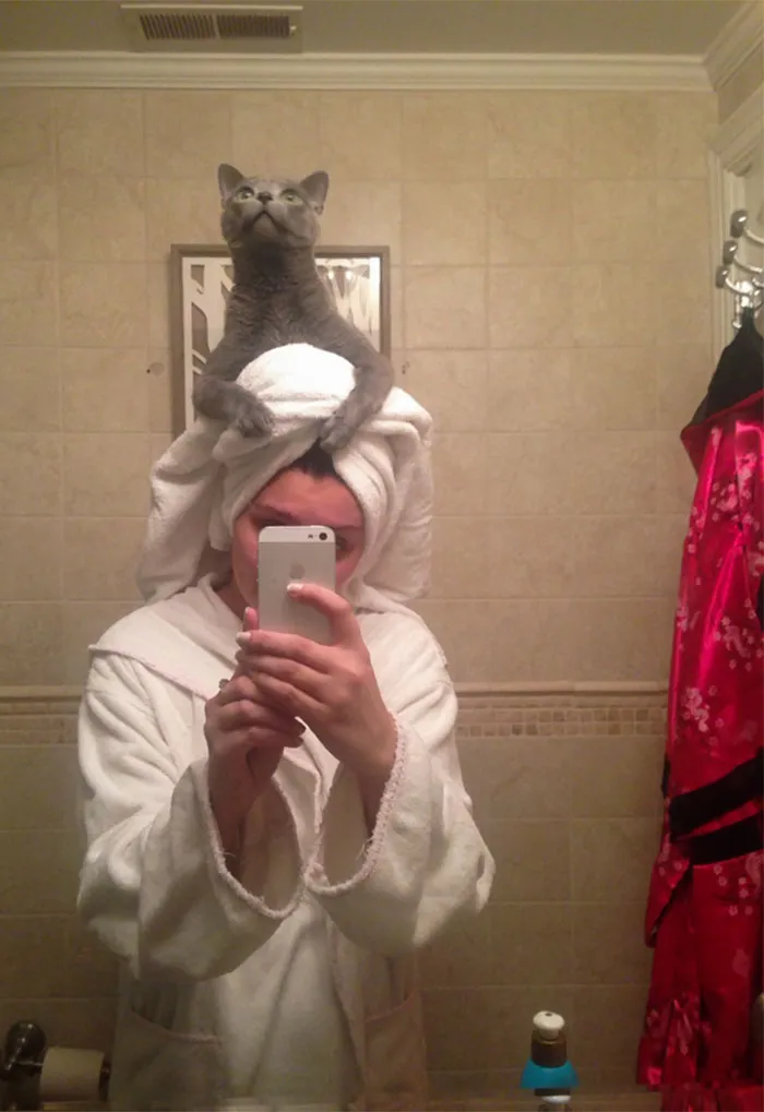 I Now Know I'm Not The Only One. He Goes From The Toilet To The Sink, Climbs On My Shoulders, And Perches On My Head