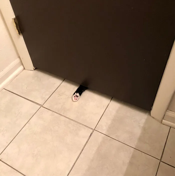 You’re Never Alone