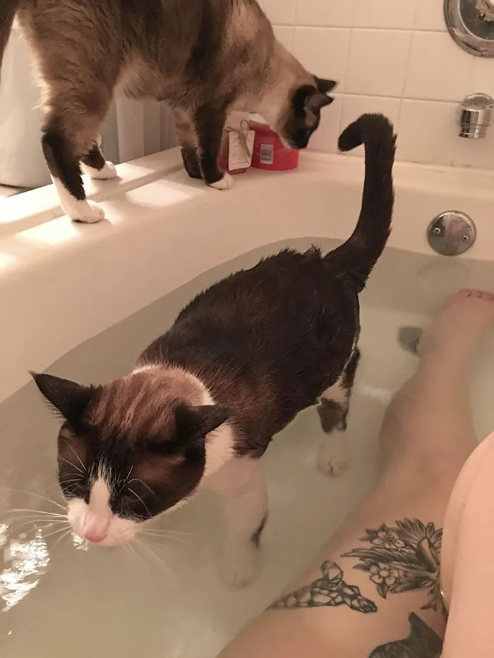 I'm Not Allowed To Have Alone Time