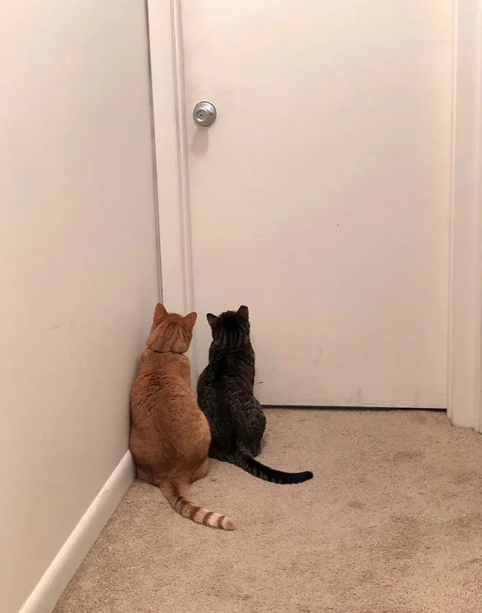 My GF Sent Me This While I Was On The Toilet