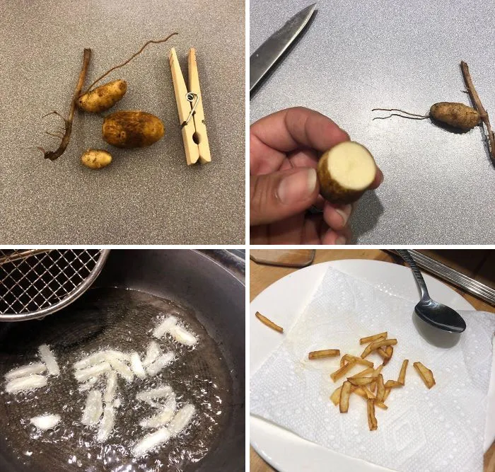 'Failed Harvest': People Are Sharing What They Failed To Grow In 30 Funny Pics