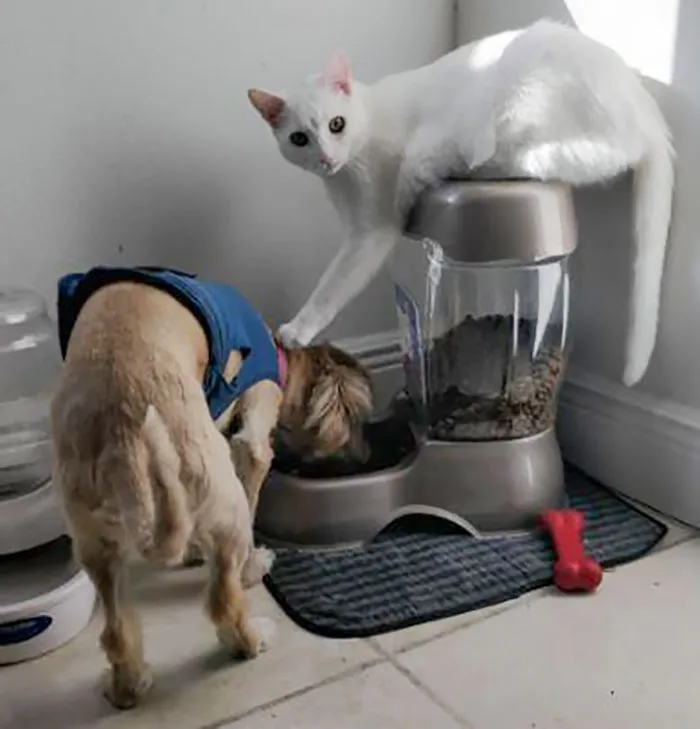 I Heard My Dog Growling And Went To Check On Her