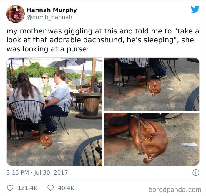 30 Times People Misunderstood Each Other And Hilarity Ensued