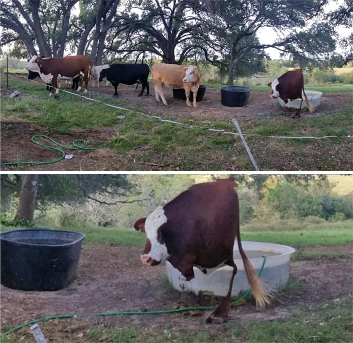 Esta fue la primera vez que intenté tomar una foto panorámica… y no me fue muy bien