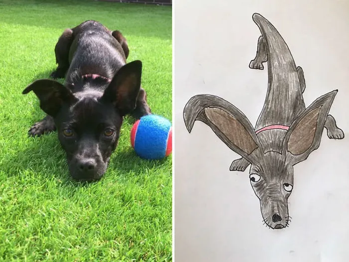 I Have Never Drawn In My Life, But I Am Doing Crappy Pet Portraits To Raise Money For Charity (30 Pics)