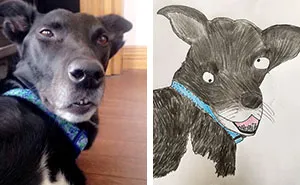 I Have Never Drawn In My Life, But I Am Doing Crappy Pet Portraits To Raise Money For Charity (30 Pics)