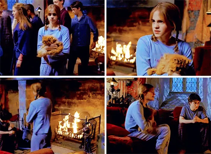 Hermione Holds Onto Crookshanks (Prisoner Of Azkaban)