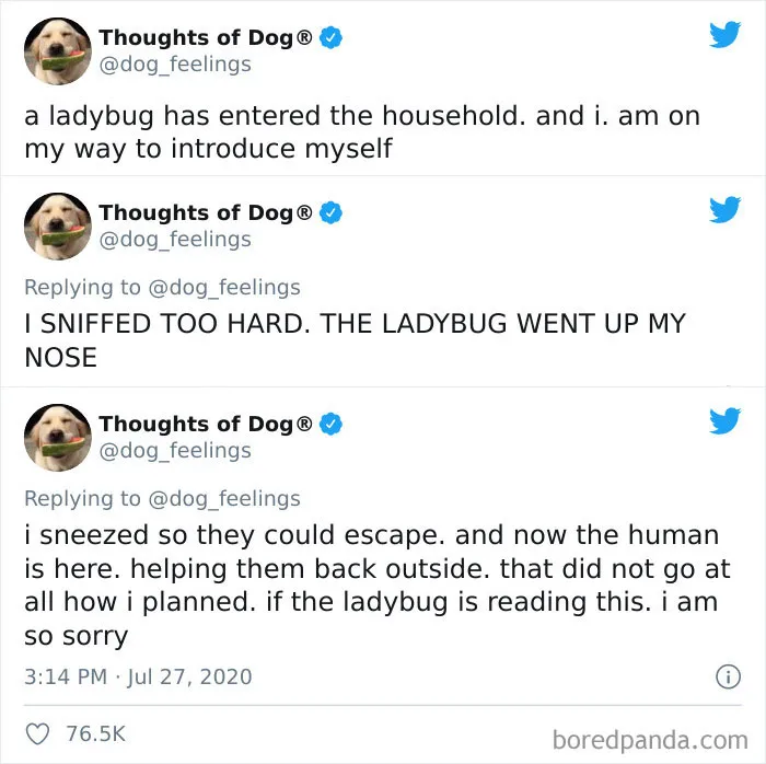 30 Of The Funniest Dog Thoughts That Dog Owners Understand Too Well (New Pics)