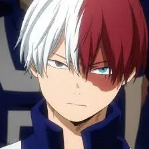 shoto Todoroki