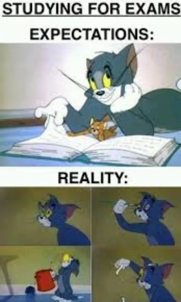 Funny Tom And Jerry Memes That I Found On The Internet