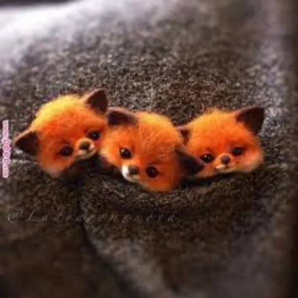 The Cutest Baby Animals You'll Ever See