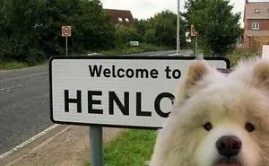 Hey Pandas! What Is The Funniest Thing You Have Ever Seen? (Closed)