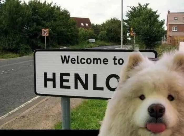 Hey Pandas! What Is The Funniest Thing You Have Ever Seen? (Closed)