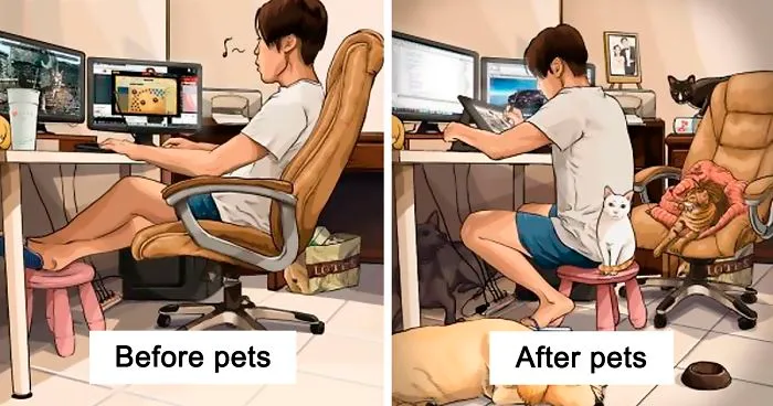 22 Life Changes That Happen After Getting A Pet