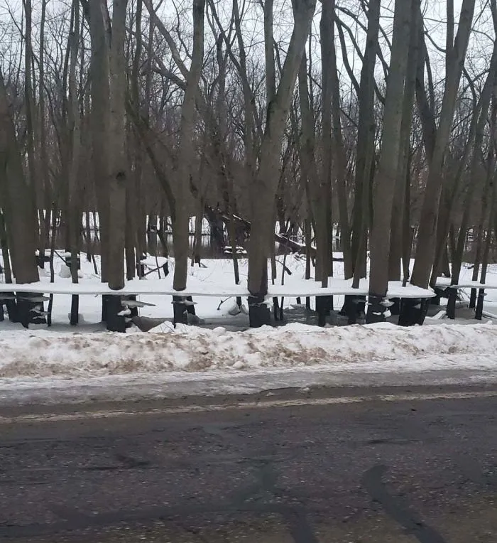 The River By Me Flooded, Then Froze, Then The Water Receded Leaving These Hovering Ice Shelves On The Trees