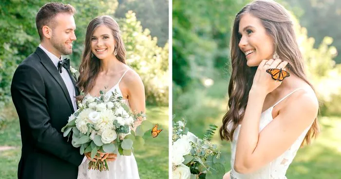 Couple's Wedding Photoshoot Gets A Fairytale-Like Twist After A Monarch Butterfly Joins In