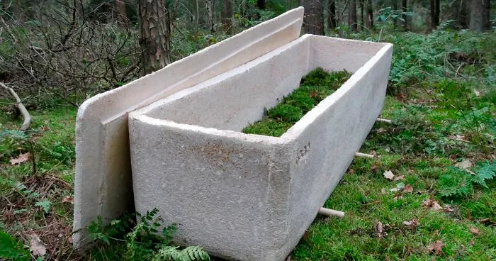 This Guy Created A $1,750 Mushroom Coffin That Turns Your Body Into Compost In Less Than 3 Years