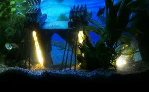 Frensh Bridge Under Water