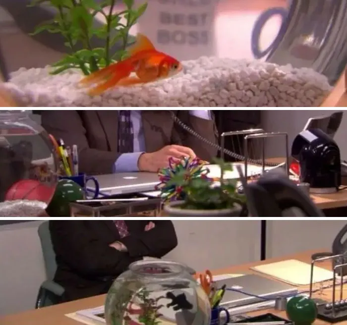 In Every Episode With The Michael Scott Paper Company, Michael Has A New Fish In His Bowl — He Probably Wasn't Very Good At Taking Care Of Them