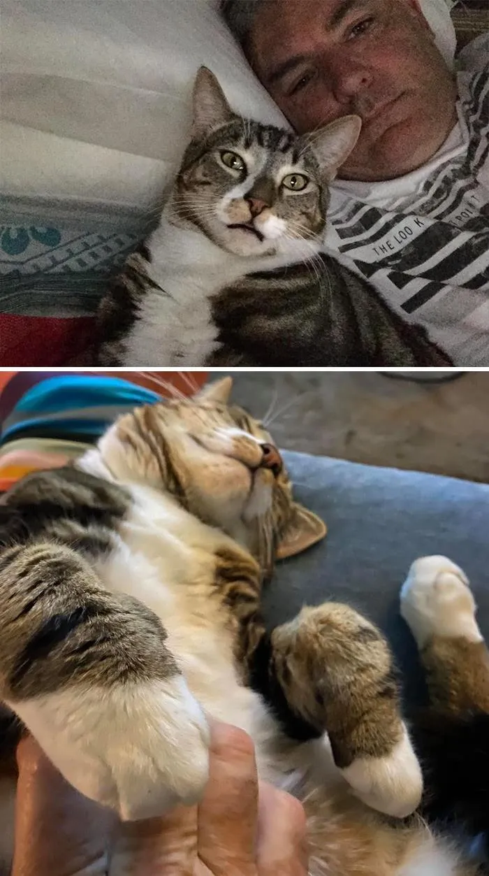 This Is Our House. Not Our Cat