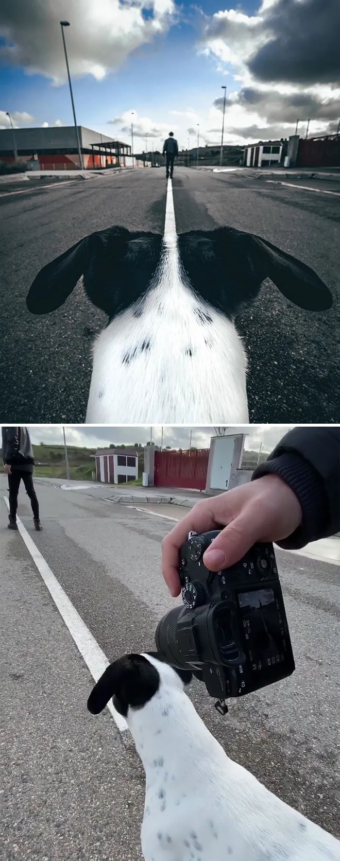 Photographer Reveals What Tricks He Uses To Get Interesting Photos In 30 Examples (New Pics)
