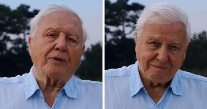 94-Year-Old Sir David Attenborough Officially Joins Instagram And His Follower Count Is Growing Insanely Fast