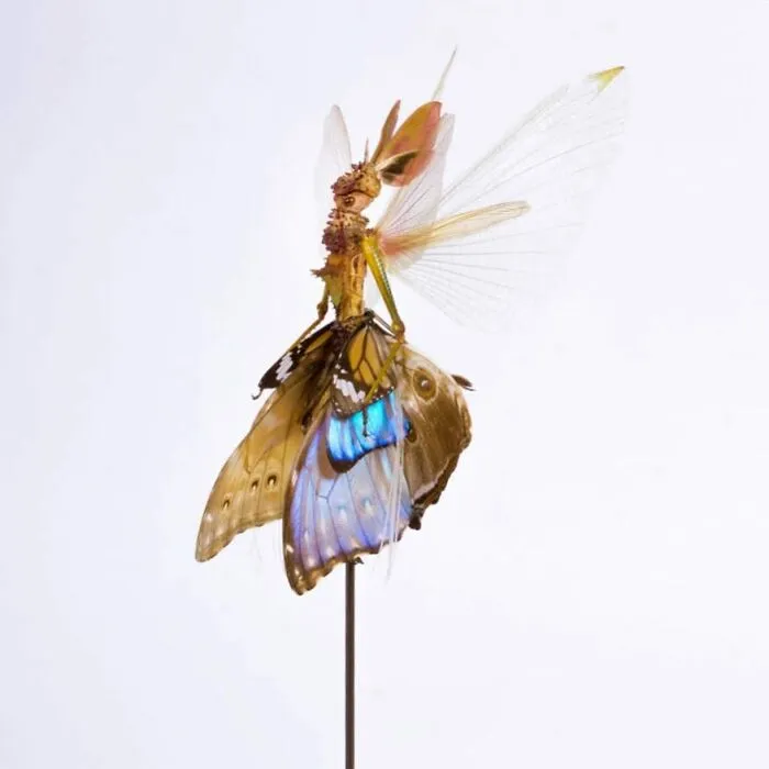 Here Are 18 Surreal Bug Fairies Made From Dead Insects Made By This Amsterdam-Based Artist