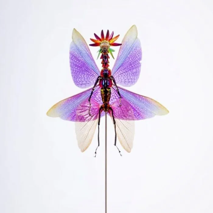 Here Are 18 Surreal Bug Fairies Made From Dead Insects Made By This Amsterdam-Based Artist