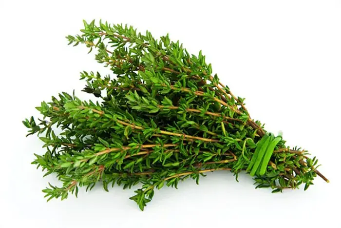 Treat Oily Herbs Differently.