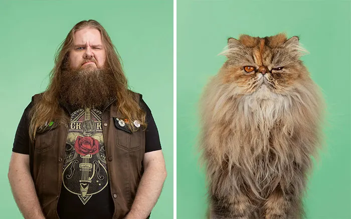 Gunther And Albert (Exotic Longhair)