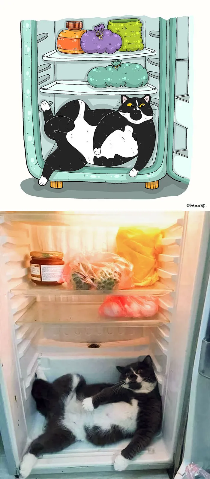30 Divertidas fotos de gatos famosas en internet convertidas en ilustraciones, por Tactooncat