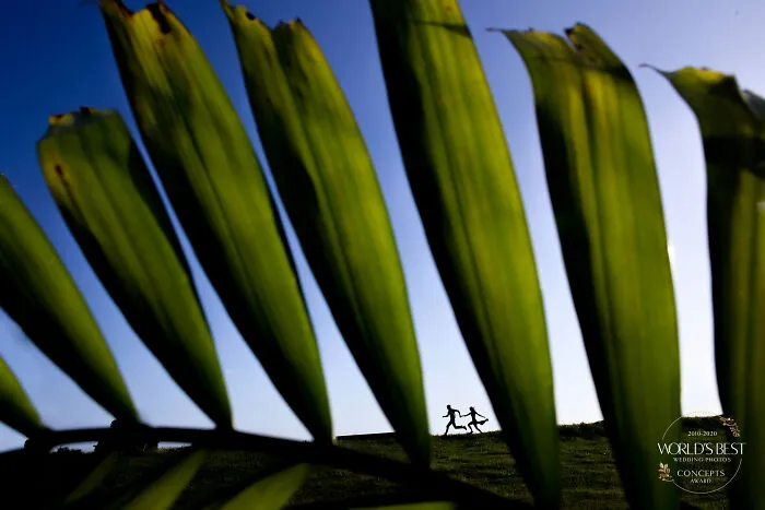 This Uniquely Framed Shot Of A Couple Through Palm Leaves By Two Mann Studios