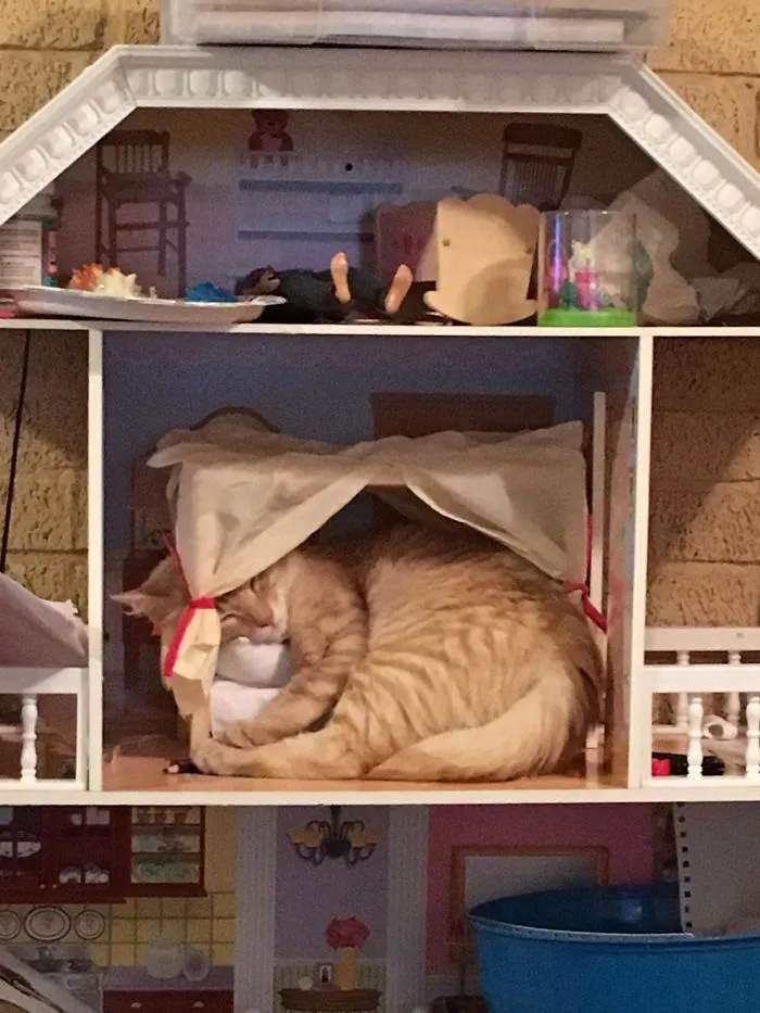 Usando la cama de la casa de muñecas