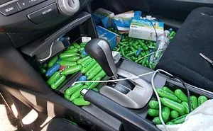 50 Times Car Mechanics Took Pics Of What They Were Dealing With So Others Would Believe Them