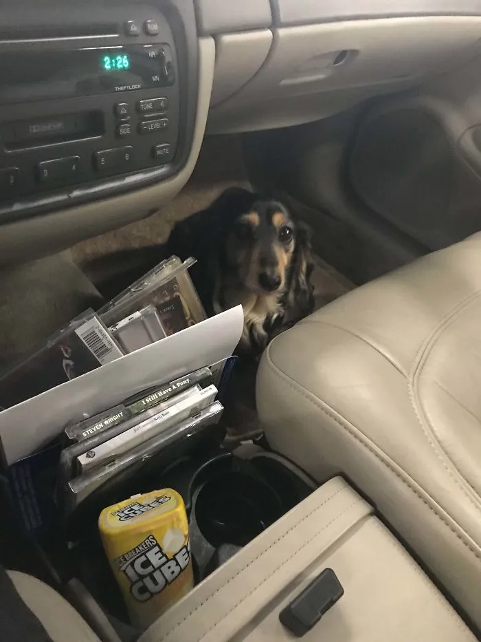 Me ha ayudado hoy a comprobar el coche de su dueño