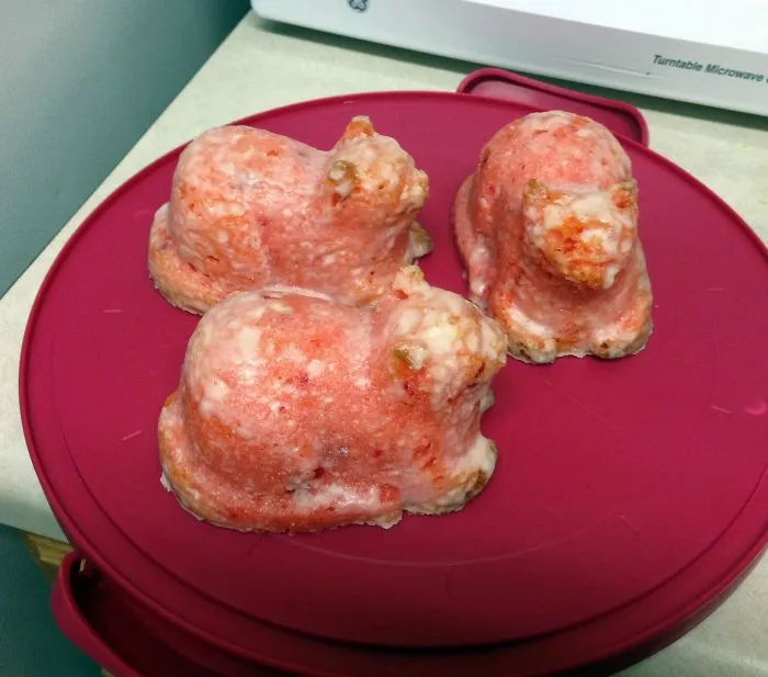 Hice tartitas de fresa en forma de gato, y luego las helé. Al sacarlas parecían de la unidad de quemados