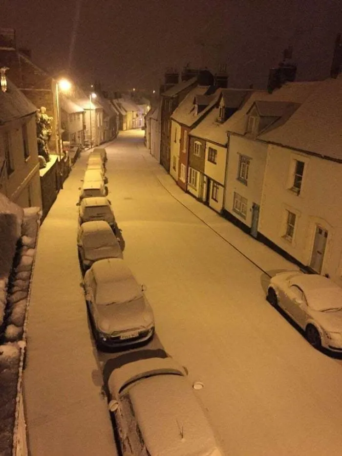 Untouched Snow Is So Satisfying